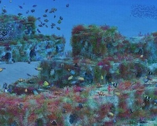 The plastic-free Reef Cubes also promote marine biodiversity. source - https://www.livekindly.co/reef-cubes-plastic-free-blocks-save-oceans/