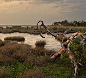 Light dims at sunset over a salt marsh on Currituck Sound in North Carolina. Credit - Spring Images Alamy