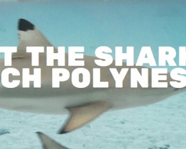 Material from the Mao Mana Foundation Photo: Mao Mana Foundation