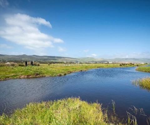 The Aldinga wetlands is culturally significant to the Kaurna people. Credit - www.abc.net.au