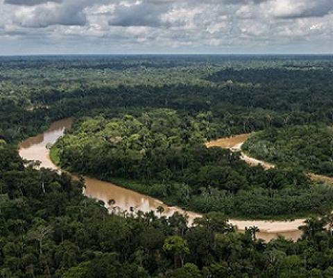 The Amazon rainforest is often called "the lungs of the world." It produces oxygen and stores billions of tons of carbon every year. The Amazon rainforest covers more than 60% of the landmass of Peru. Credit: USDA Forest Service photo by Diego Perez