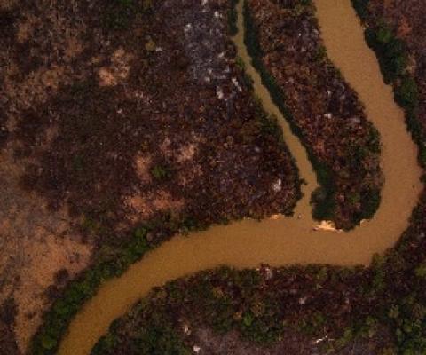 An aerial view showing some of the fire damage in Brazil's Pantanal. Source - Phys.org