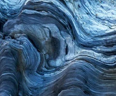 how 20th century settler writers foreshadowed the Anthropocene. Credit - Shutterstock/Francisco Duarte Mendes