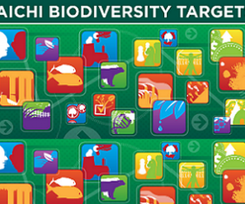 Aichi biodiversity targets. Credit - CAFF Secretariat