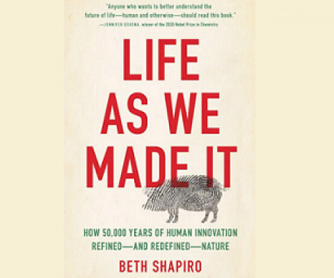 Credit - Beth Shapiro