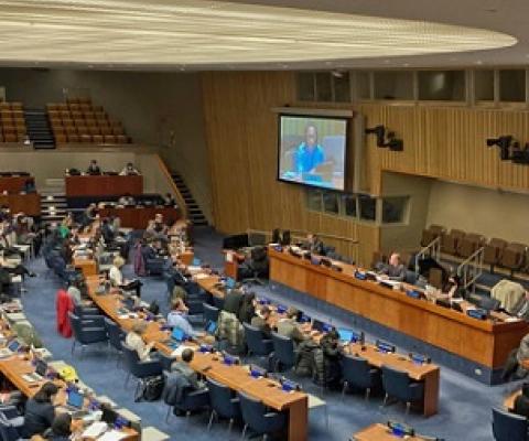 Delegates convene to negotiate a high seas treaty in New York this month. Image by Julian Jackson / Pew.