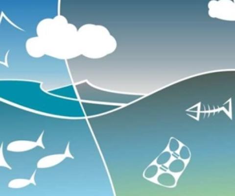 Credit: Pixabay/CC0 Public Domain