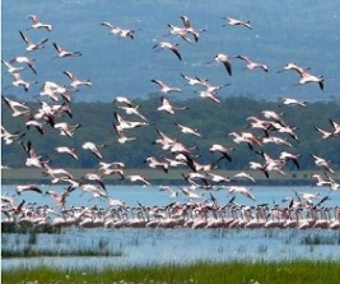 BIOPAMA Rapid Response Grants 2020. Credit - BIOPAMA