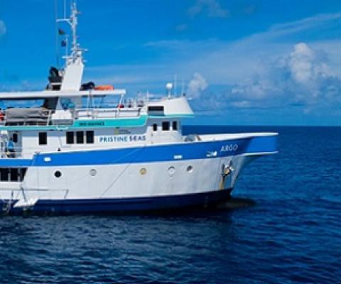 Photo by: Steve Spence/National Geographic Pristine Seas