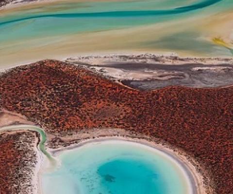 World's largest carbon stores found in Australian World Heritage Sites. Credit - https://ca.news.yahoo.com/