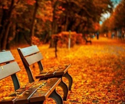 Credit: CC0 Public Domain