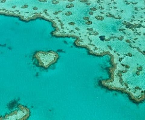 Credit: Edward Hodgkin