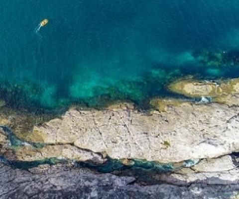 Sea life around the Coromandel coast has visibly declined over the past 25 years, says Everth. Photo: Ferntech/ Unsplash