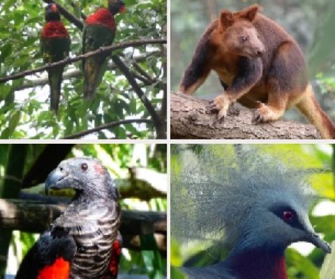 CPL presents K70,000 for park’s conservation efforts