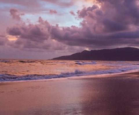 Sunset on the beach in Ujung Kulon National Park, Java (Photo by Robin Moore, Global Wildlife Conservation)