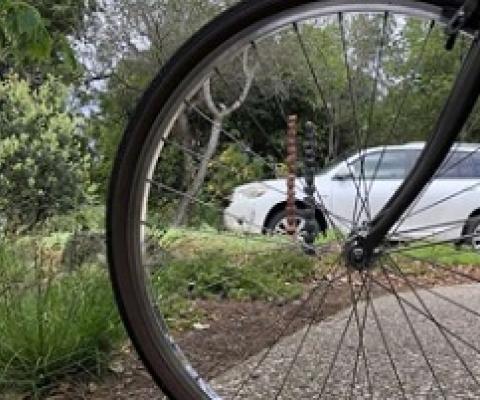 Global carbon dioxide emissions are down dramatically in the wake of COVID-19. A new study pinpoints where energy demand has dropped the most, estimates the impact on annual emissions and points the way to a less polluted future. Credit: Rob Jackson / Stanford University