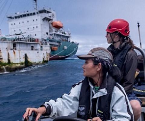 Fishery observers monitoring the transfer of catch in 2019. Covid restrictions have since prevented many observers from doing their jobs (Image © Tommy Trenchard / Greenpeace)
