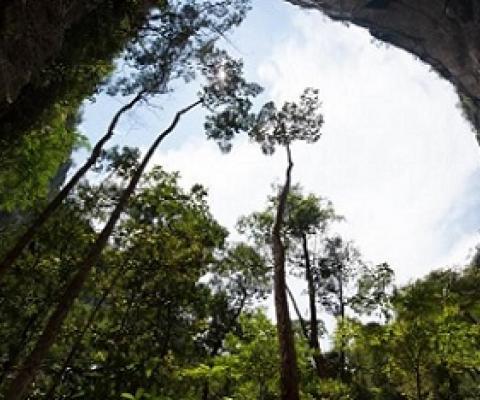 A panhole at Chiribiquete National Park, Colombia/IUCN, Charles Besancon