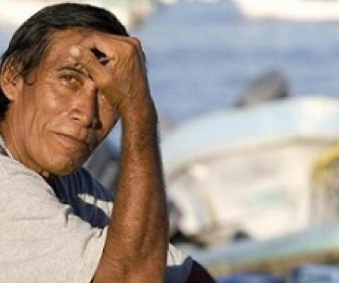 Mobilizing in support of small-scale fisheries impacted by COVID-19