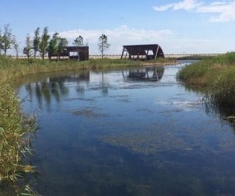 The extensively restored Yingwuzhou wetland (pictured) in Shanghai, China, emits less methane than a nearby wild wetland. Credit: Xuechu Chen
