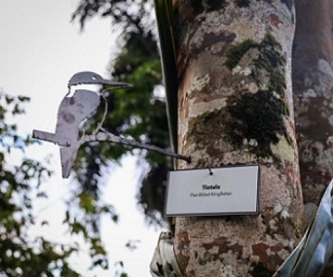 One of the metal birds found at the Art Whistler Memorial Garden. Photo: Junior S Ami