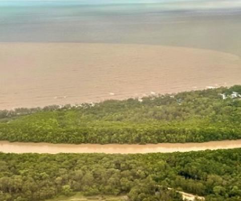 Reforestation could help save coral reefs from catastrophe. Credit - Hoegh Guldberg