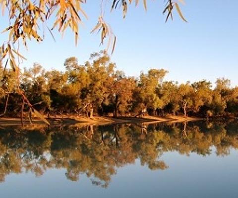 Currawinya National Park Queensland Australia. creative commons