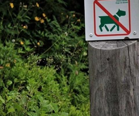 Sign at a nature reserve. Credit: Pieter De Frenne