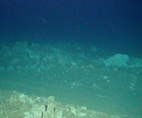 Plow tracks are still clearly visible on the seafloor of the DISCOL area 26 years after the disturbance. Credit: ROV-Team/GEOMAR