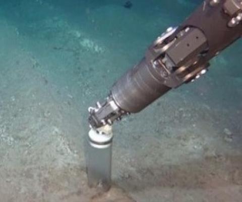 A 26-year-old test-mining track in the Peru Basin, Pacific Ocean illustrates how slowly abyssal ecosystems of the deep seabed recover from physical disturbance. Image: Geomar, ROV Kiel 6000. From Chin, A and Hari, K (2020)/20100260