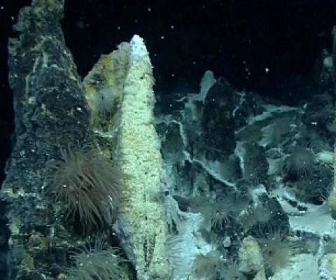 Antarctic hydrothermal vents. Credit: MARUM, Bremen Germany