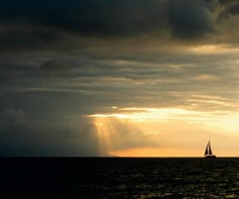 Environmental scholar Elin Kelsey suggests that the conservation of coastal ecosystems hinges on hope. Photo by David Baileys/Alamy Stock Photo