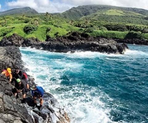 Volunteers conduct an opihi survey in Kipahulu Moku by Kipahulu Valley. The group Kipahulu ‘Ohana is proposing the creation of a community-based subsistence fishing area to regulate traditional harvesting and fishing. Photo courtesy of Scott Crawford