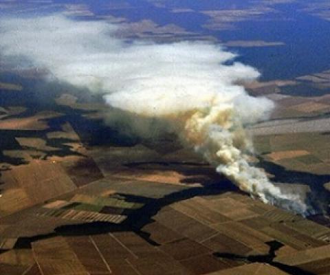 The 600-page review said that all livelihoods on Earth depended on the health of the planet. Credit - https://phys.org/ 