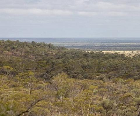 Edgbaston Reserve could be declared a special wildlife reserve. Credit - Peter Wallis