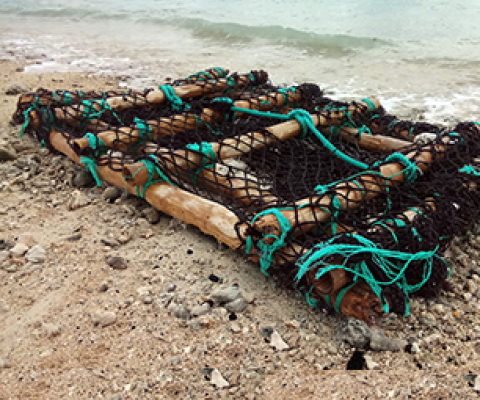 Credit - RaroLens2/Shutterstock  