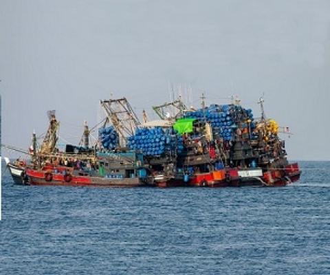 Industrial fishing trawlers stocking up on unsustainable quantities of fish. Credit: Shutterstock