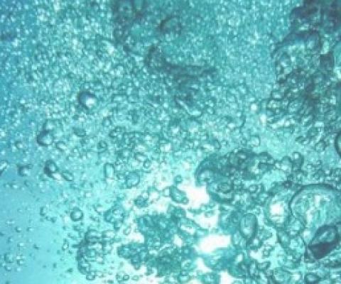 Finding food security underwater. Credit: CC0 Public Domain