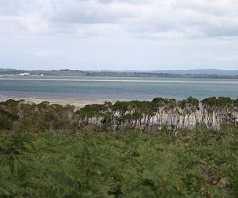 Western Port, Victoria looking west from French Island, March 2005. Credit - Takver (www.takver.com) CC BY-SA 3.0  