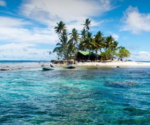 Image credit - Charlie Jung