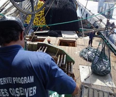 Hundreds of purse seine fishing vessels annually transship their catches of tuna to carrier vessels in Majuro lagoon for shipment to off-shore canneries. Photo: Giff Johnson