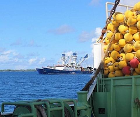 The PNA system of fisheries and ocean governance may also be used as an inspiration for the conservation of the high seas, the areas outside Exclusive Economic Zones. Photo © PNA Secretariat