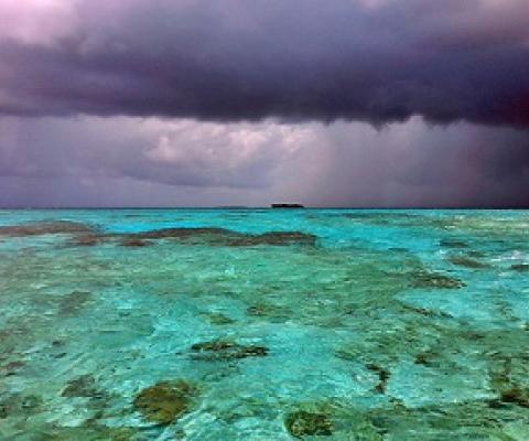 Funafuti Conservation Area, Tuvalu. Credit - V. Jungblut