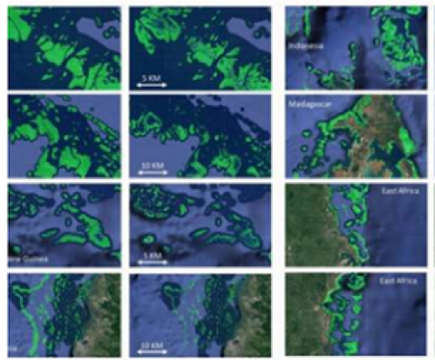 Visual comparisons of a map by the United Nations Environment Program World Conservation Monitoring Centre (UNEP-WCMC), the leading global coral reef map, and the GDCS coral reef extent map in different regions, including (a) Great Barrier Reef (GBR), Australia, Papua New Guinea, Indonesia; (b) Madagascar, East Africa; (c) Red Sea, Samoa, Virgin Islands. Credit: Center for Global Discovery and Conservation Science at Arizona State University