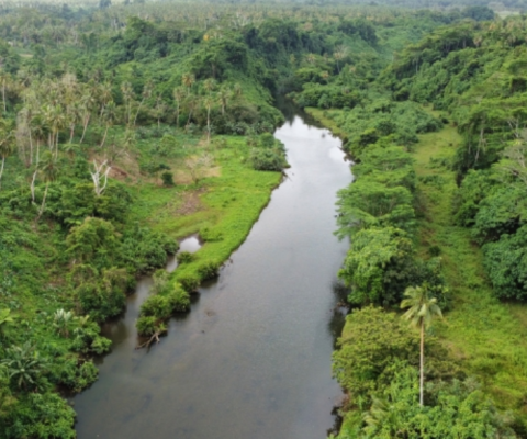 GBF Targets Workshop Nadi