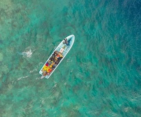 Fiji's Great Sea Reef. Credit - T. Vierus