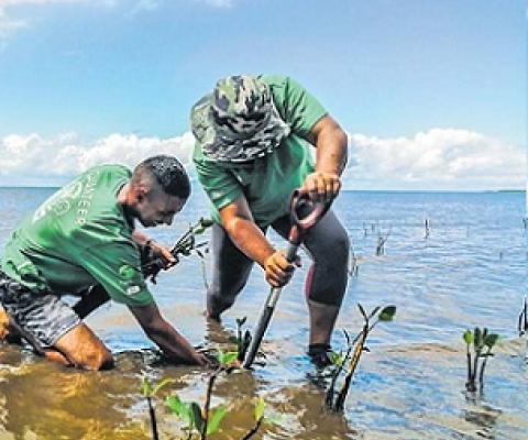 Credit - Fiji Hotel and Tourism Association