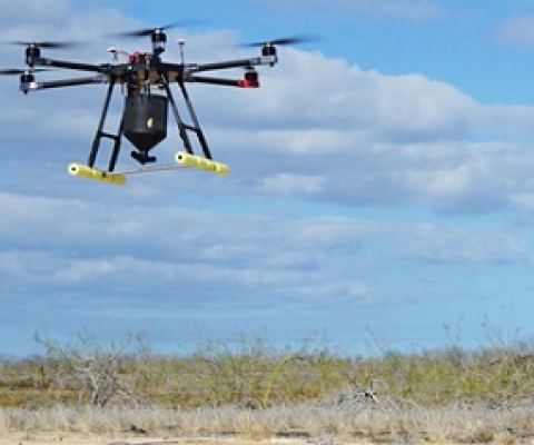Conservation group flies its Galápagos drone eradication of invasive rat mission over Polynesian atolls. Source - https://dronedj.com/ 