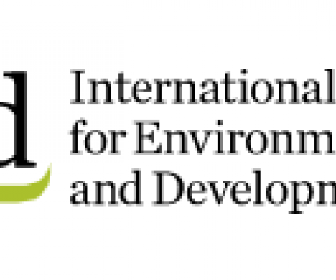 IIED logo