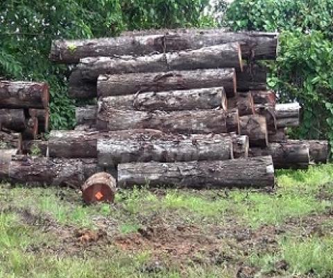 Credit - www.fbcnews.com.fj